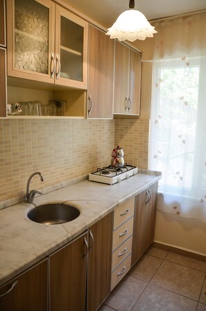 Standard Quadruple Room | Private kitchen | Fridge, microwave, oven, dishwasher - Berk Apart Hotel (Ayvacik)