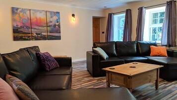 TV, fireplace, video games, DVD player