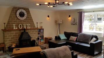 TV, fireplace, video games, DVD player