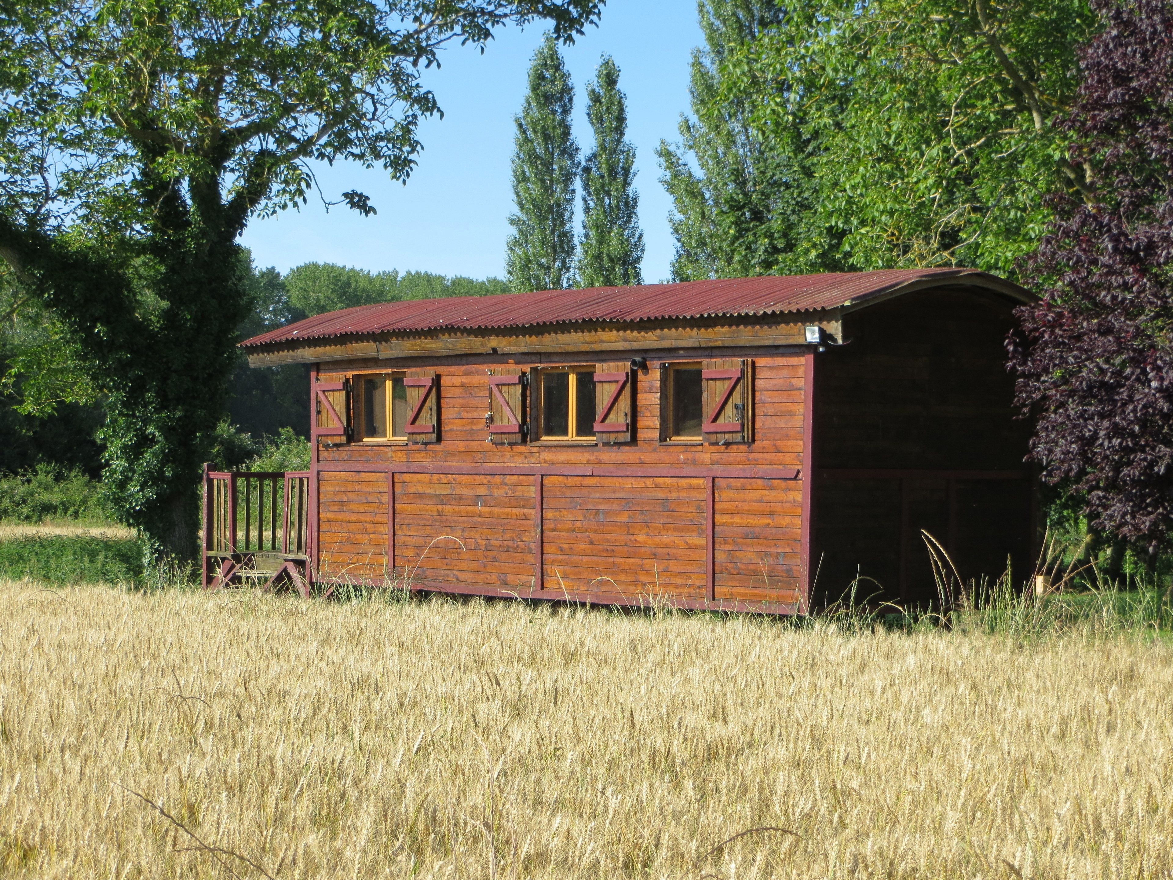 A wooden building with a red roof, surrounded by tall grass and trees.
