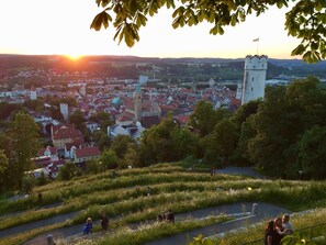 صورة غير مصنفة، 3 من 13، زرّ