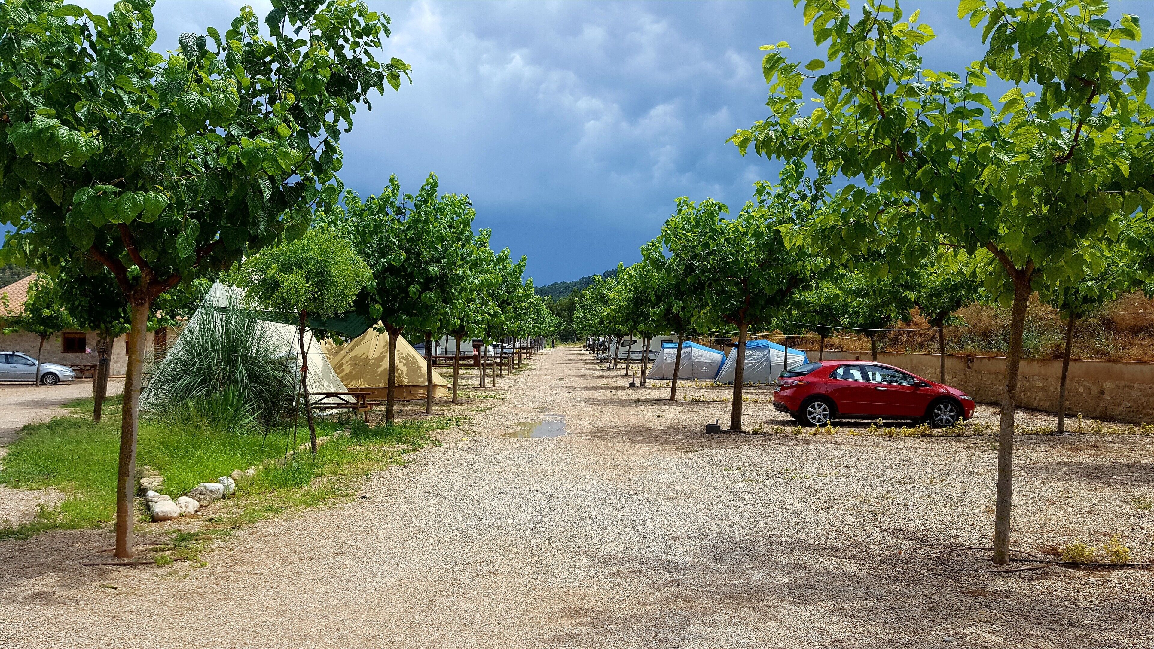 Un sendero de grava bordeado de árboles y tiendas de campaña, indicando un camping o área para un evento al aire libre.