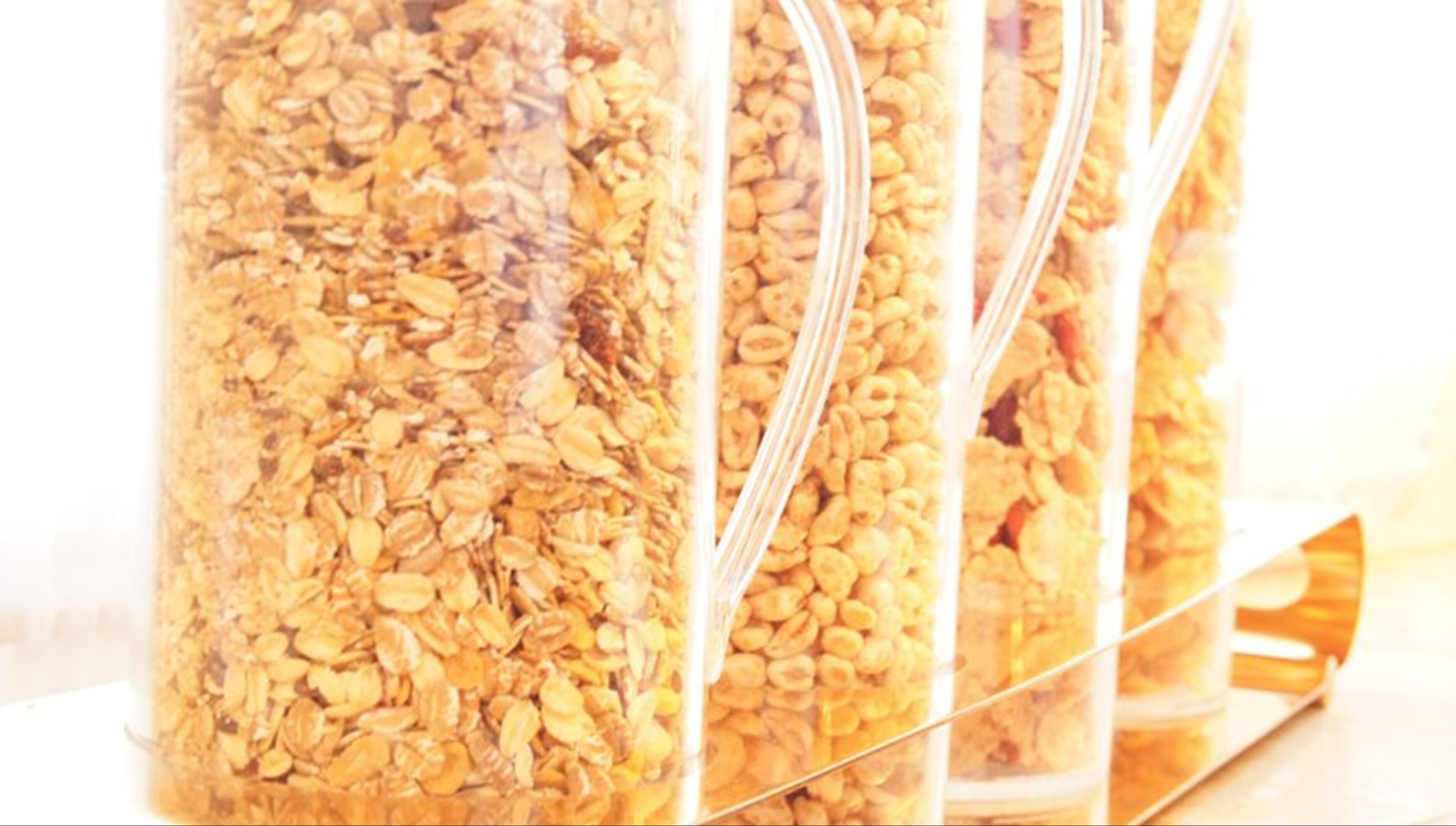 daily buffet breakfast (eur 8 per person)