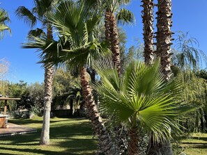 Property grounds - Architect villa with interior patio not overlooked on 4000m2 of land. (Marsillargues)