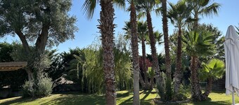 4000m2の土地に見落とされないインテリアパティオ付きの建築家別荘。