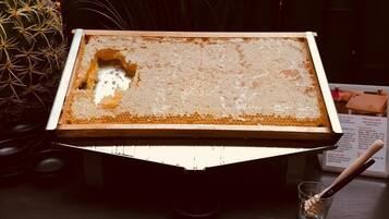 A honeycomb frame with honeycomb frames on a table.