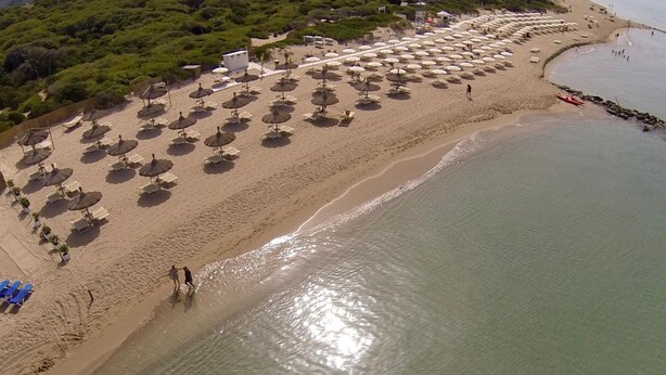 Vista aérea de una playa con hileras de sombrillas y sillas de descanso.