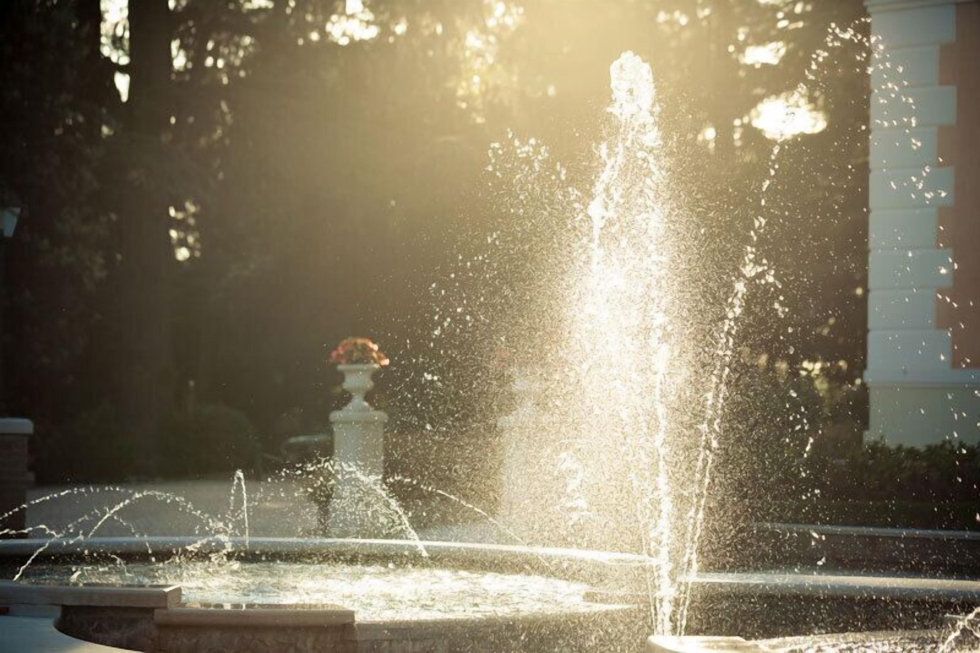A fountain with water jets in a garden setting.