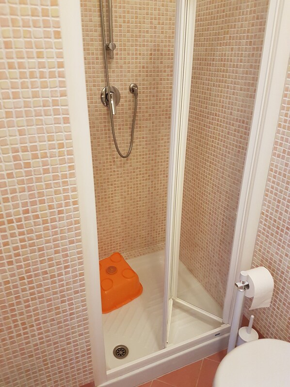 Une douche avec une porte en verre, des toilettes blanches et un rouleau de papier toilette.