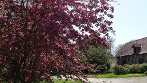 Un paisaje rural con un árbol en flor, un granero y un camino de grava.