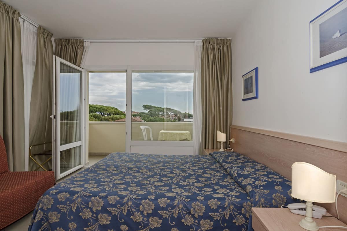 Double or Twin Room | Minibar, in-room safe, desk, rollaway beds (surcharge)