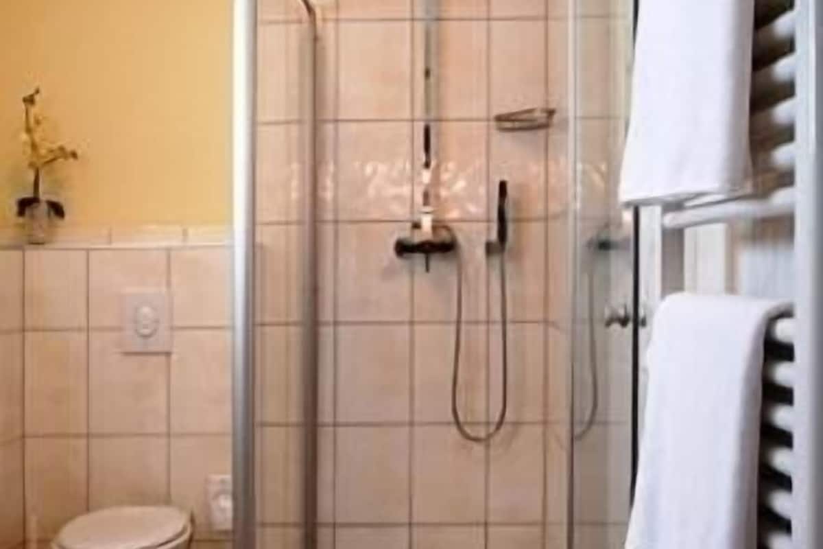 classic double room | bathroom | shower, free toiletries, hair dryer, slippers