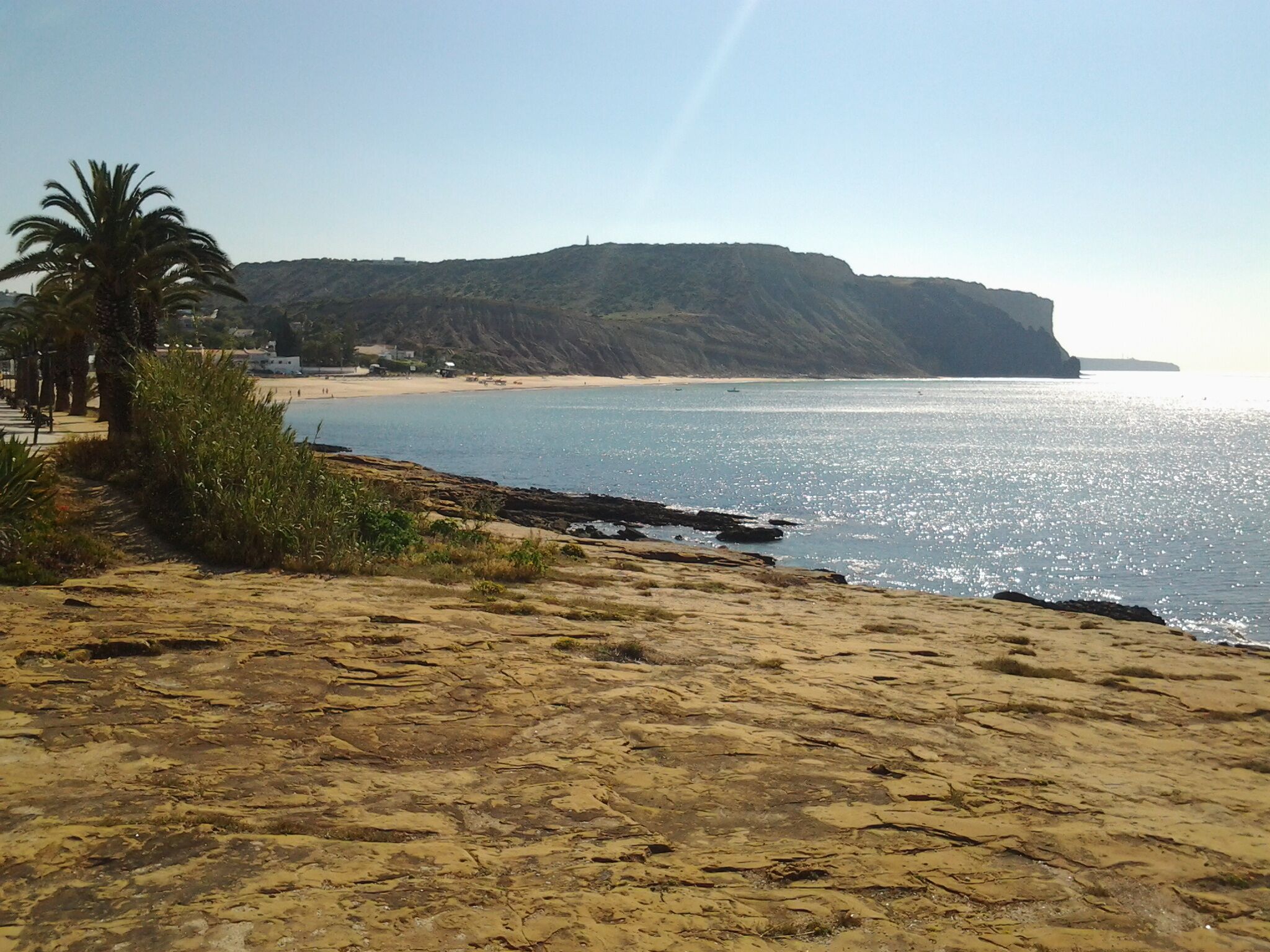 A beach with a rocky foreground, a palm tree, and a distant hill with buildings.