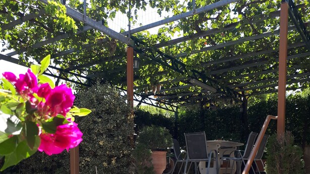 A set of outdoor stone steps leading to a covered patio area with a table and chairs, surrounded by potted plants and greenery. - Villa near Athens Airport & Rafina (Spata-Artemida)
