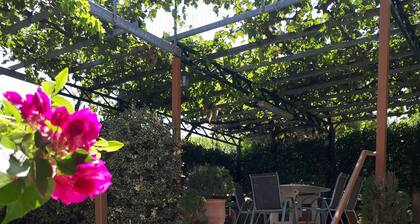 Villa near Athens Airport & Rafina