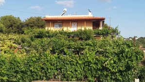 A two-story house with a red-tiled roof, surrounded by lush green vines. - Villa near Athens Airport & Rafina (Spata-Artemida)