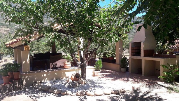 A courtyard with a tree, potted plants, a stone bench, and a building with a sloped roof. - Casa Rural El Cerezal del Jerte (Navaconcejo)