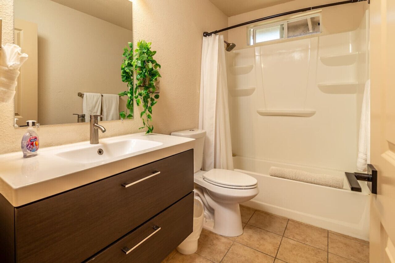 A bathroom with a sink, mirror, toilet, shower, and a plant.