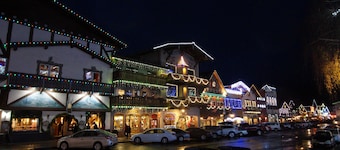 Serenas vistas a la montaña, a solo 5 minutos de Leavenworth, ¡y con perros!