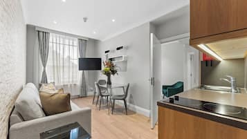 One-Bedroom Apartment with Double Sofa Bed | Blackout curtains, iron/ironing board, free WiFi, bed sheets