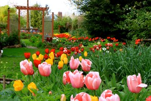 Property grounds - Your Safe Haven in the Heart of Metropolitan Portland (Portland)