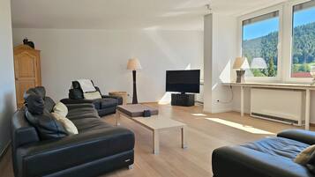 Smart-TV, Musikbibliothek, Stereoanlage, Computerbildschirme