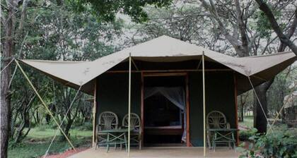 Mara Springs Safari Camp