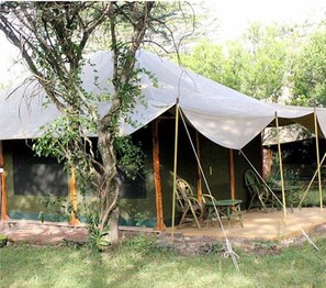 A campsite with tents, a table, and chairs. - Mara Springs Safari Camp (Maasai Mara)