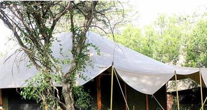 Mara Springs Safari Camp