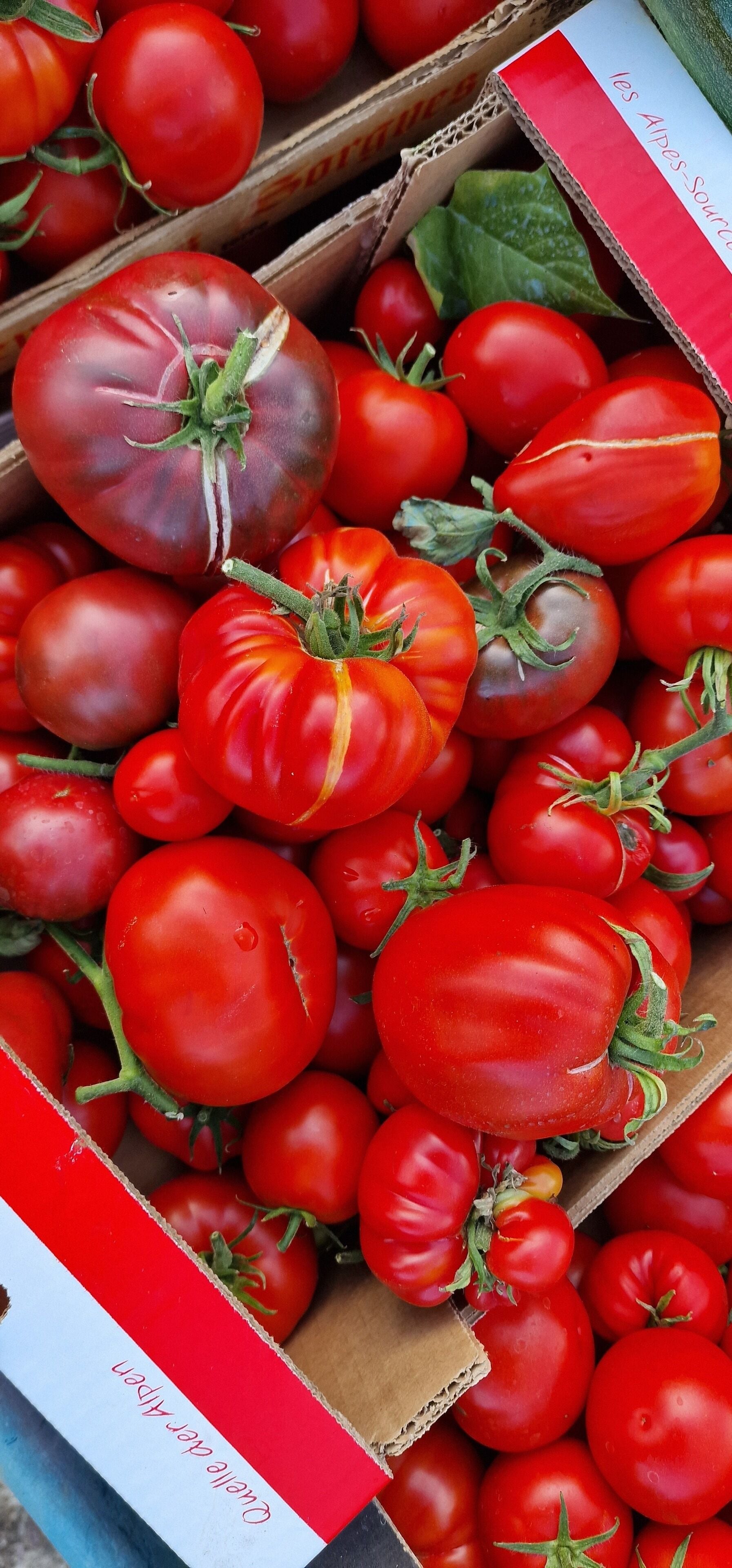 A box filled with tomatoes, some with stems attached.