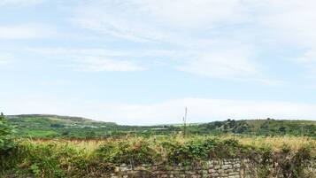 A stone wall with overgrown vegetation in a rural landscape.