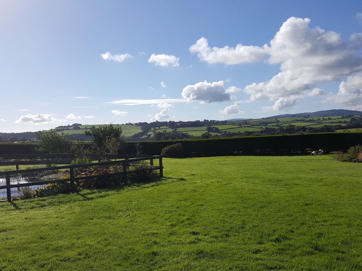 A grassy field with a wooden fence and a small body of water.