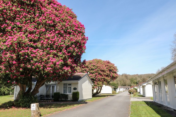 Cottage | Exterior