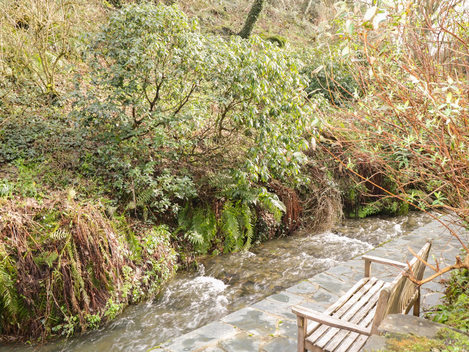 A stone pathway leading to a wooden bench by a flowing stream, surrounded by dense greenery.