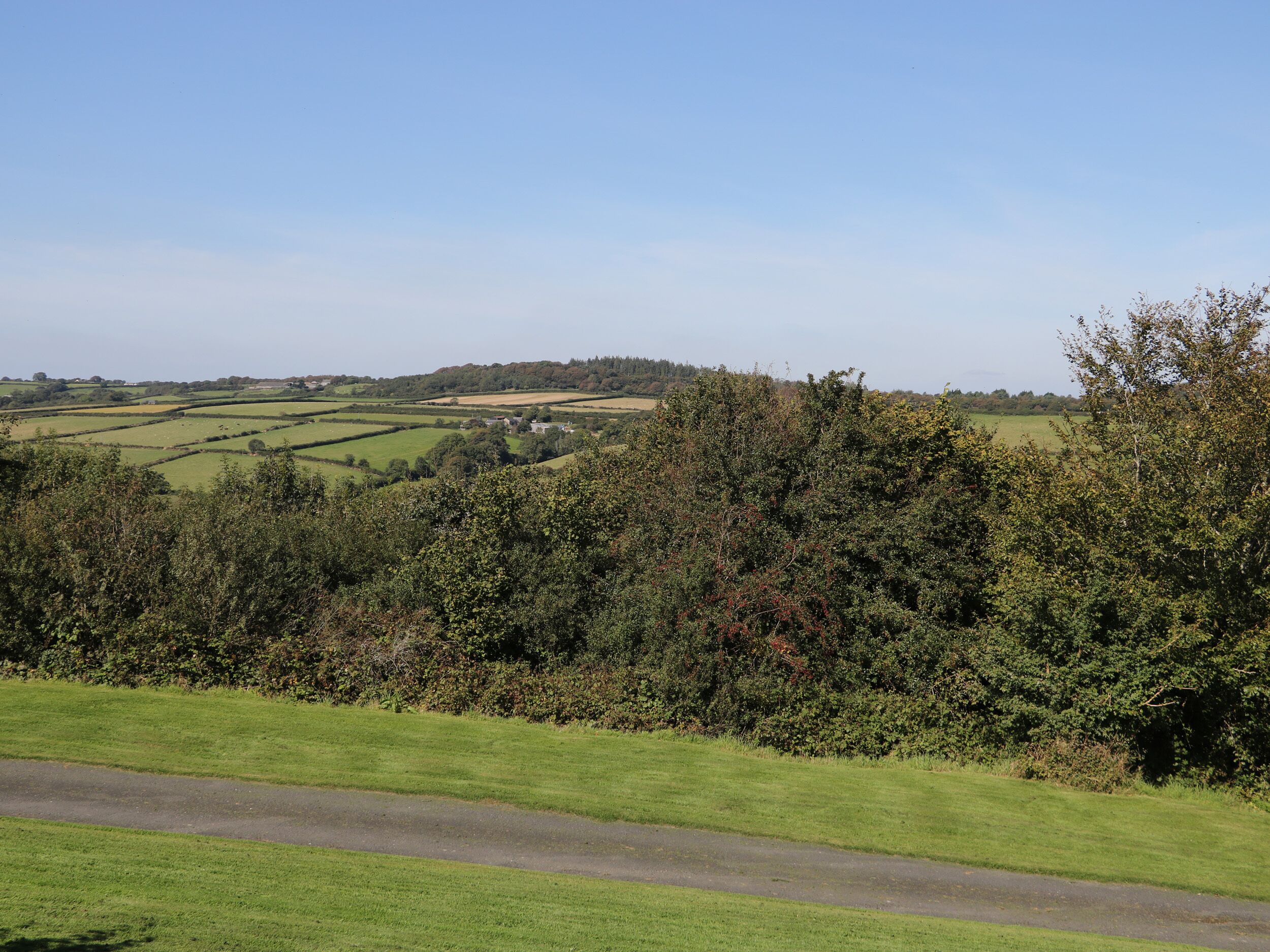Ländliche Landschaft mit sanften, grünen Hügeln, einer Straße und dichtem Grün im Vordergrund.