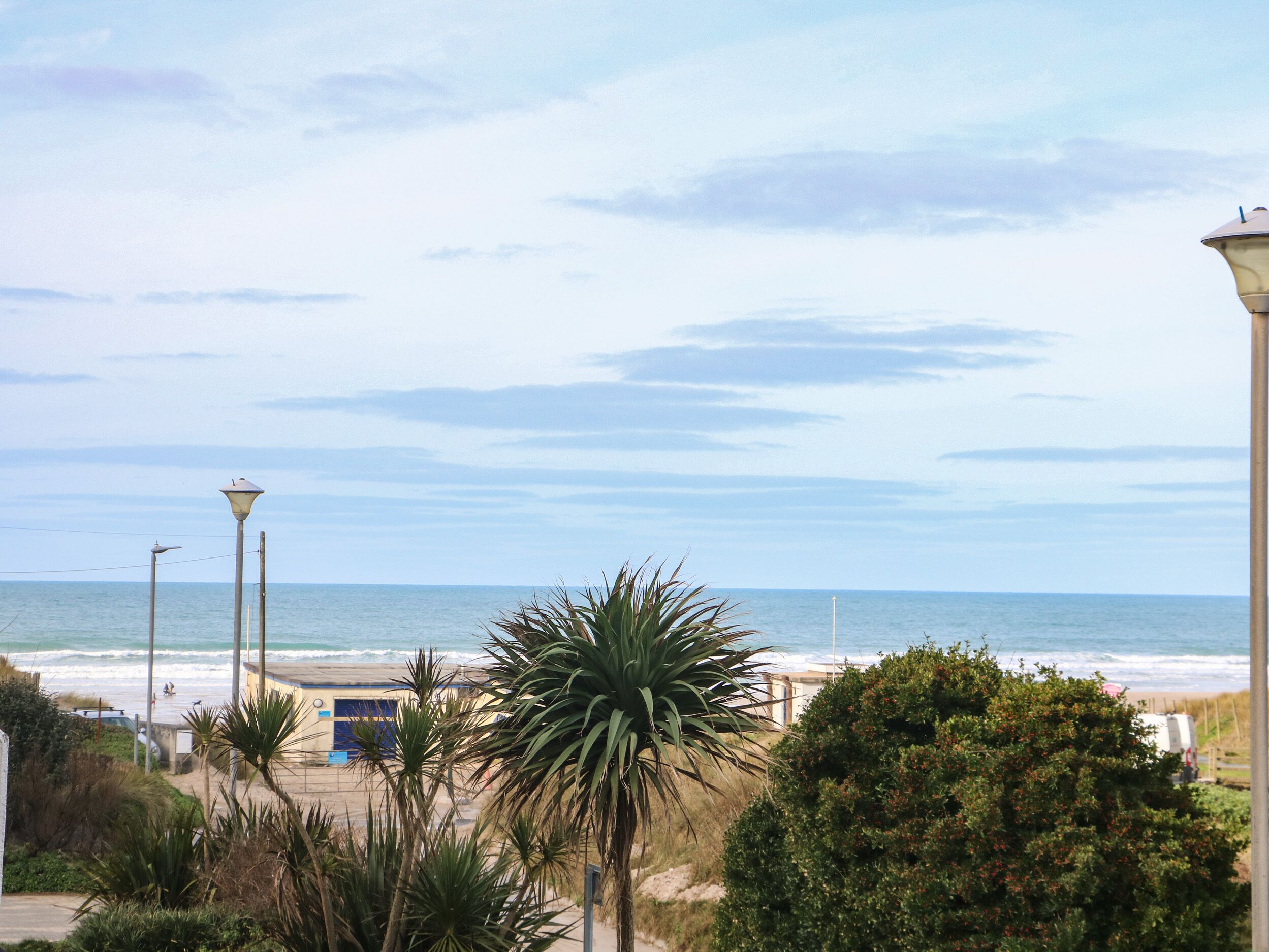 Blick auf die Küste mit Strand, Palmen und einer Straßenlaterne.