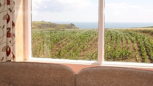 A room with a large window overlooking a vineyard.