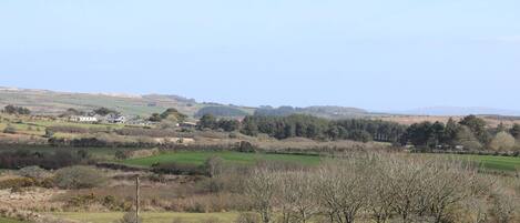 A rural landscape with a house in the distance, surrounded by fields and trees.