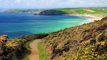 A coastal path leading to a beach with clear waters and distant land.