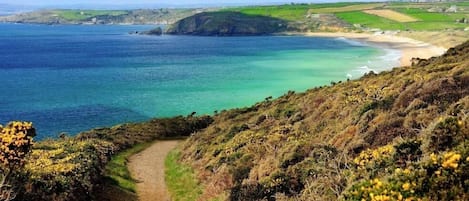 Un sendero costero que lleva a una playa con aguas transparentes y tierra a lo lejos.