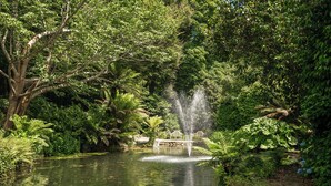 A serene pond with a central fountain, surrounded by lush greenery and trees. - Penwarne Lodge (Falmouth)