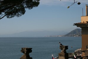 Une vue sur la côte, avec un ciel d égagé, un oiseau perché sur un pilier et un drapeau.