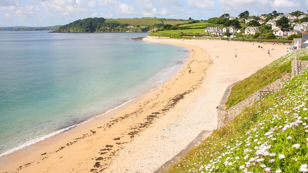 A coastal beach with a sandy shore, a stone wall, and a grassy area with flowers. - Seabien (Falmouth)