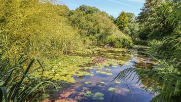 Cottage | 1 bedroom, individually decorated, individually furnished, free WiFi