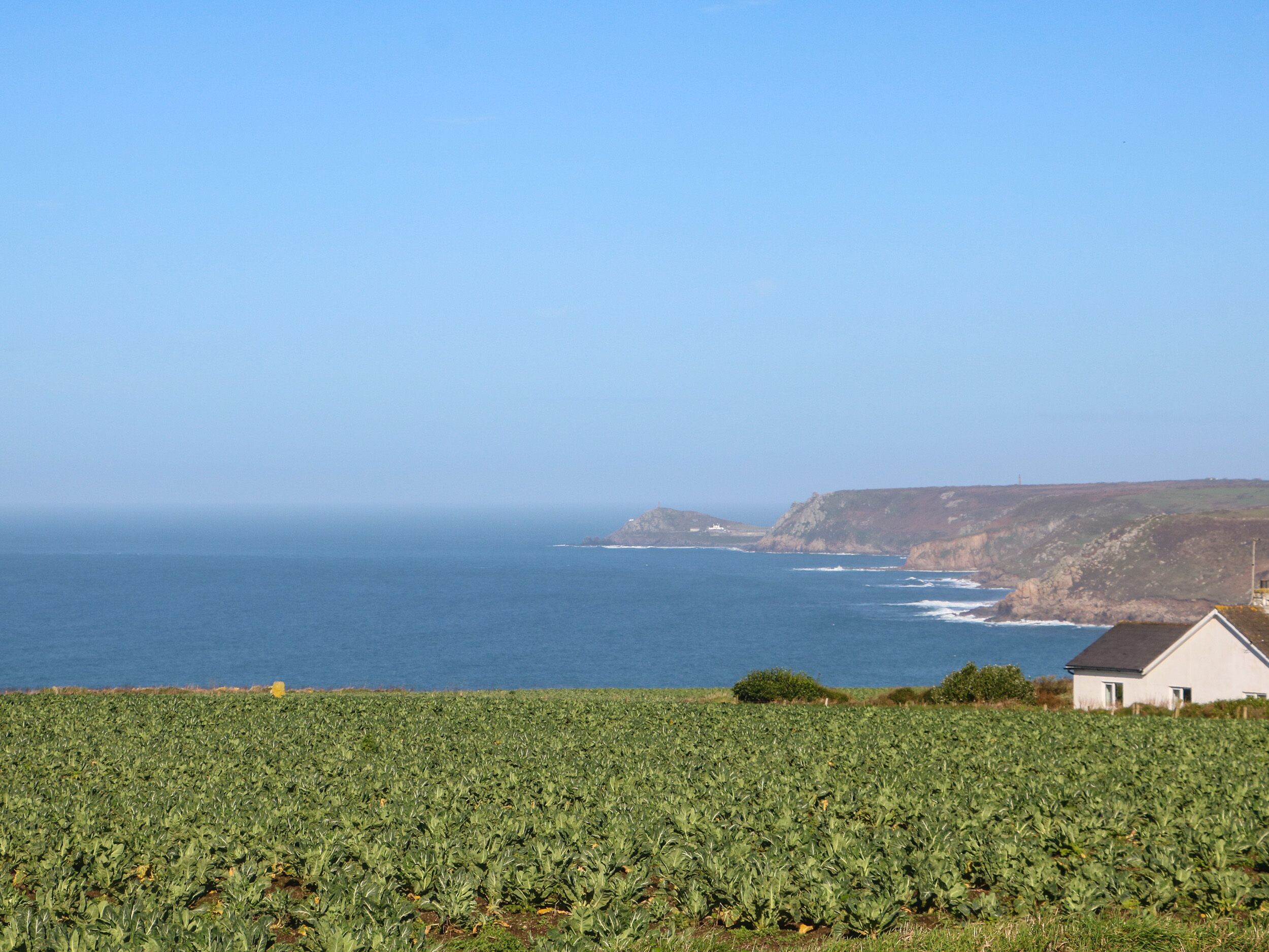 Un paysage côtier avec un champ de cultures, un bâtiment blanc et des falaises en arrière-plan.