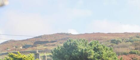 A rural landscape with a hill, trees, and a distant building.