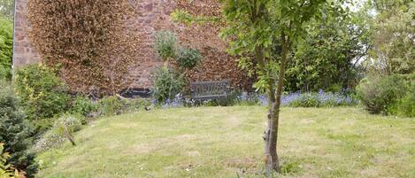 A stone building with ivy covering the walls, surrounded by a grassy area with a bench and various plants.
