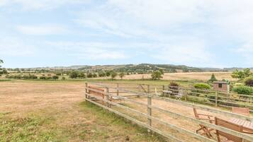 Cottage | Property grounds