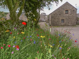 A stone building with a traditional design, surrounded by a variety of colorful wildflowers and a tree with moss.