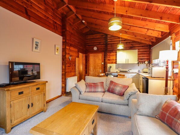 Accogliente interno di una baita in legno, con zona soggiorno, tavolino in legno, divano, televisione e angolo cucina.